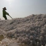 NTT Bakal Punya Tambak Garam Raksasa, Serap 25 Ribu Lebih Tenaga Kerja